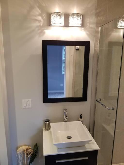 시카고 Nice And Cozy. Sleeps 5. 아파트 외부 사진